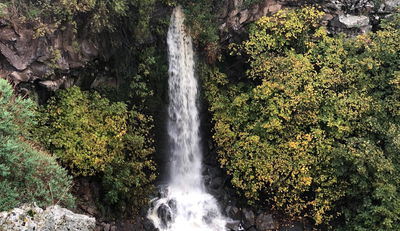 מפל עיט בצפון זורם בעוצמה