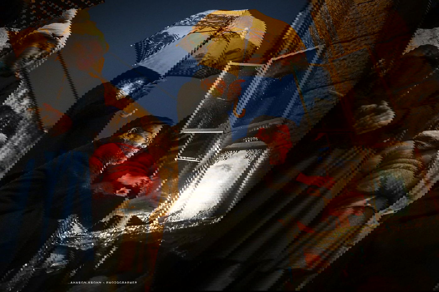 זופניק בכיכר • כל התמונות והנייעס של השבוע