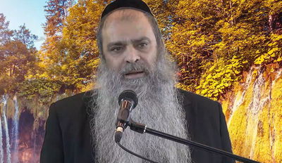 הרב רפאל זר בפינה לפרשת מקץ • צפו