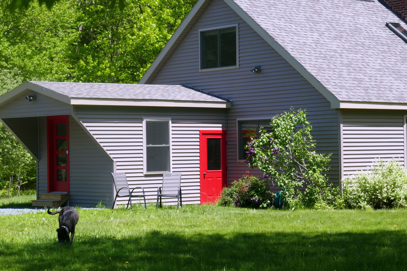 אדריכלית והעולם הגדול + הפתעה לחנוכה