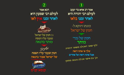 מסכת פסחים, דף כ"ט • סיכום והמחשה של הדף היומי