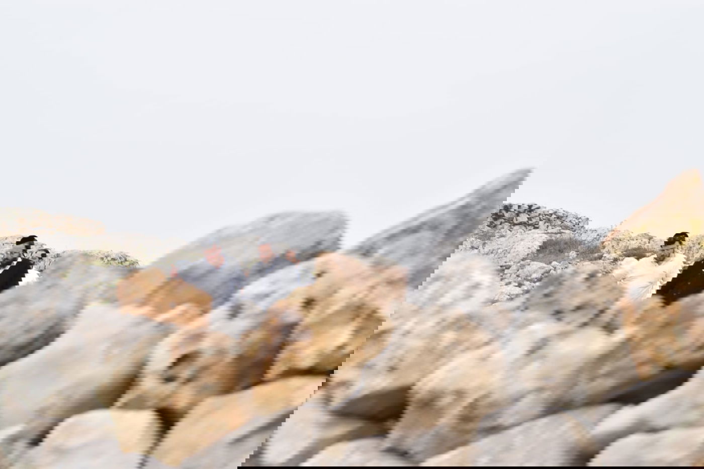 אברכים חקרו את המזבח שבנה יהושע בן נון