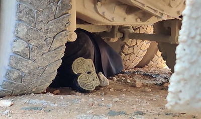 בניסיון לעצור את עבודות הרכבת הקלה: מפגין נכנס מתחת למערבל הבטון