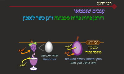 מסכת פסחים, דף ל"ג • סיכום והמחשה של הדף היומי