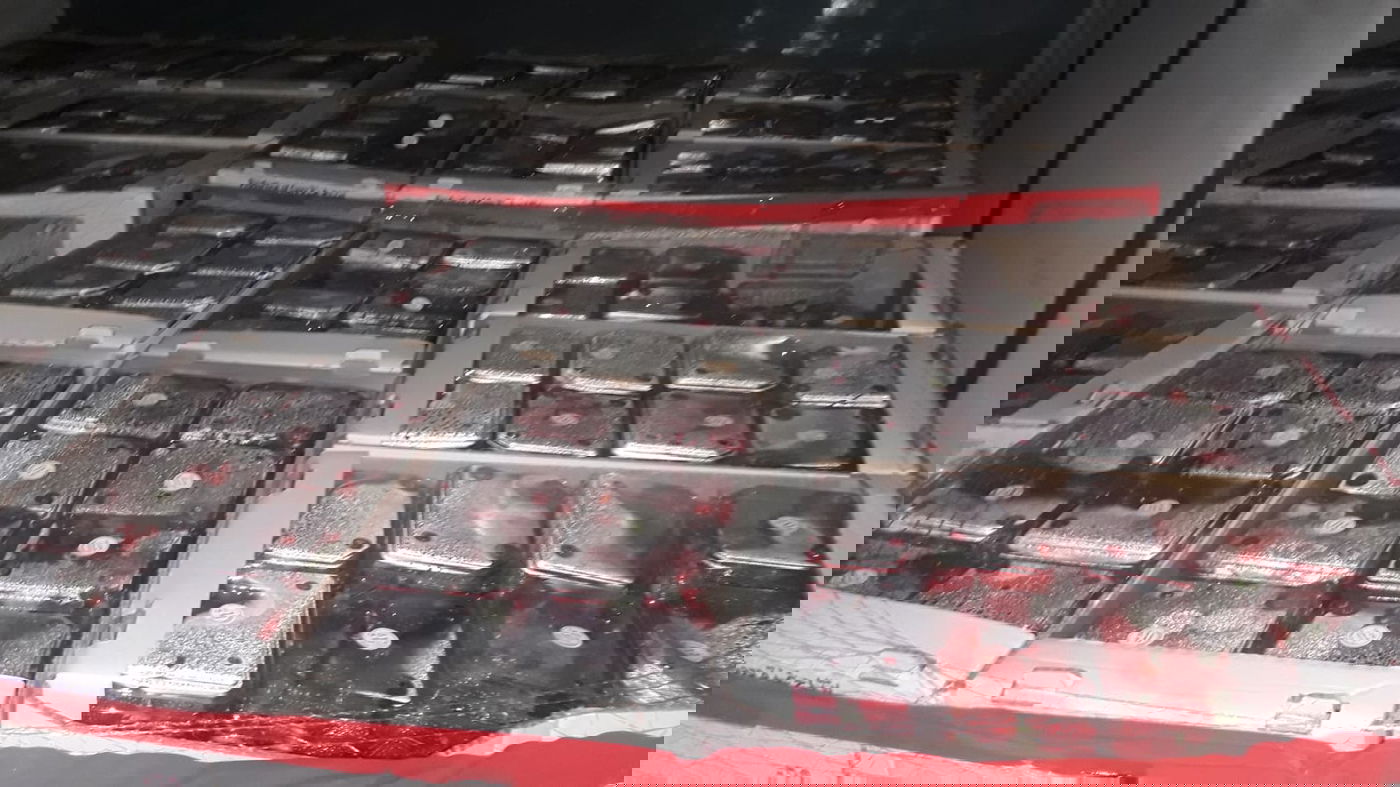 צפו: 8 טון תותים הוברחו מהרצועה לישראל