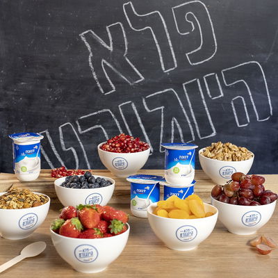 החיידקים הפרוביוטים שנמצאים ביוגורט עוזרים לפעולת מערכת העיכול