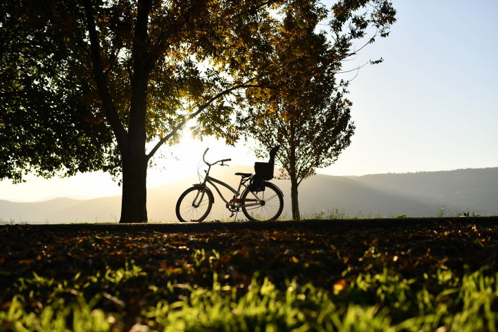 עמק החולה השבוע