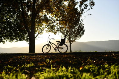 עמק החולה השבוע