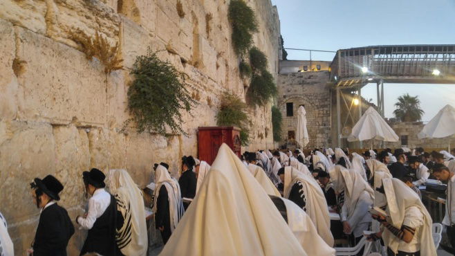 יהודים מתפללים בי' טבת - בכותל