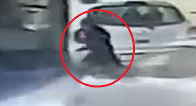 חיה בת ה-10 נפטרה מפצעיה • צפו ברגע האסון