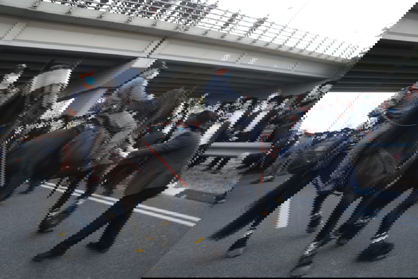 עסקן הפלג לקצין: "לא היה עדיף לשחרר את העציר שלנו?" • צפו