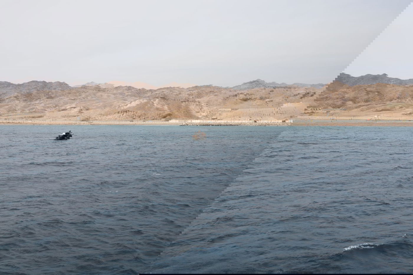 תיעוד צבעוני: רגע לפני סגירת ה'איים הירוקים'