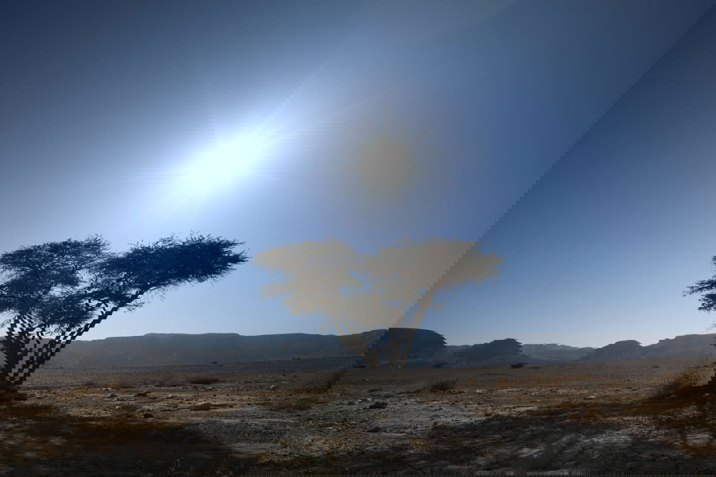 תיעוד צבעוני: רגע לפני סגירת ה'איים הירוקים'