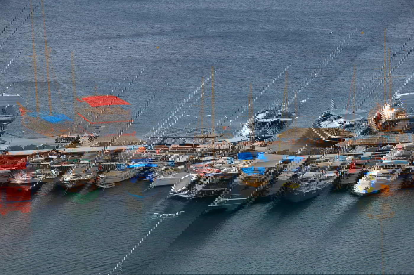 תיעוד צבעוני: רגע לפני סגירת ה'איים הירוקים'