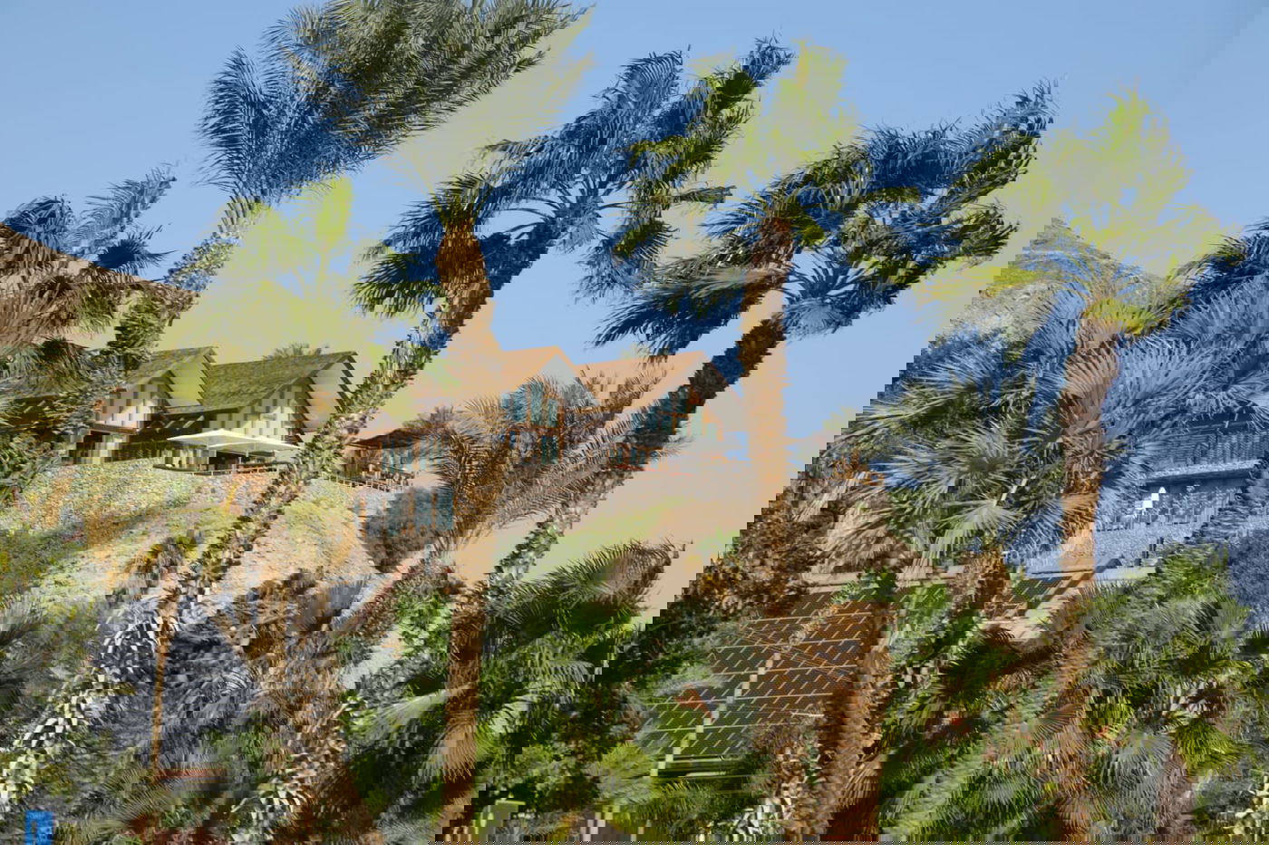 תיעוד צבעוני: רגע לפני סגירת ה'איים הירוקים'