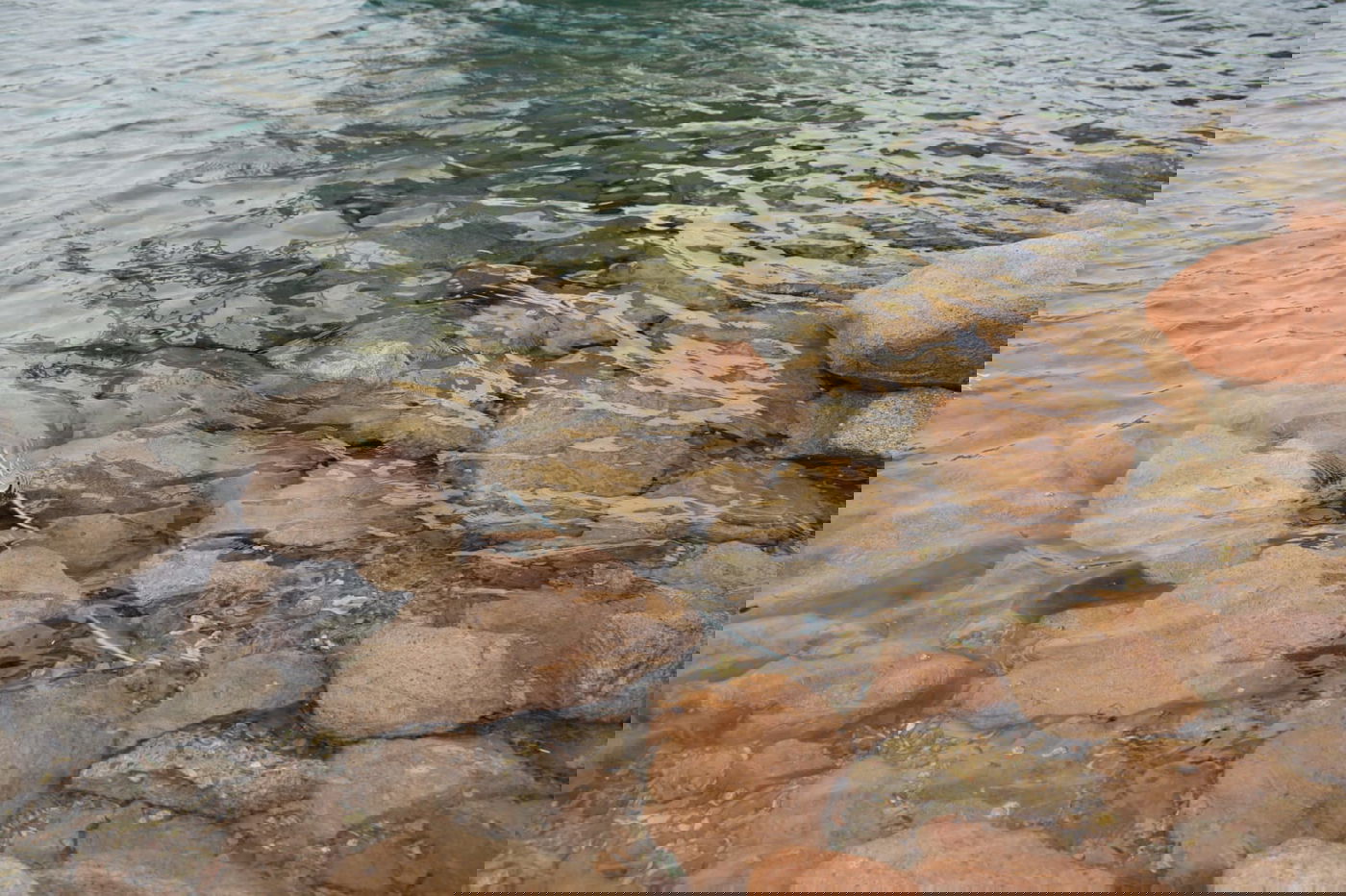 תיעוד צבעוני: רגע לפני סגירת ה'איים הירוקים'