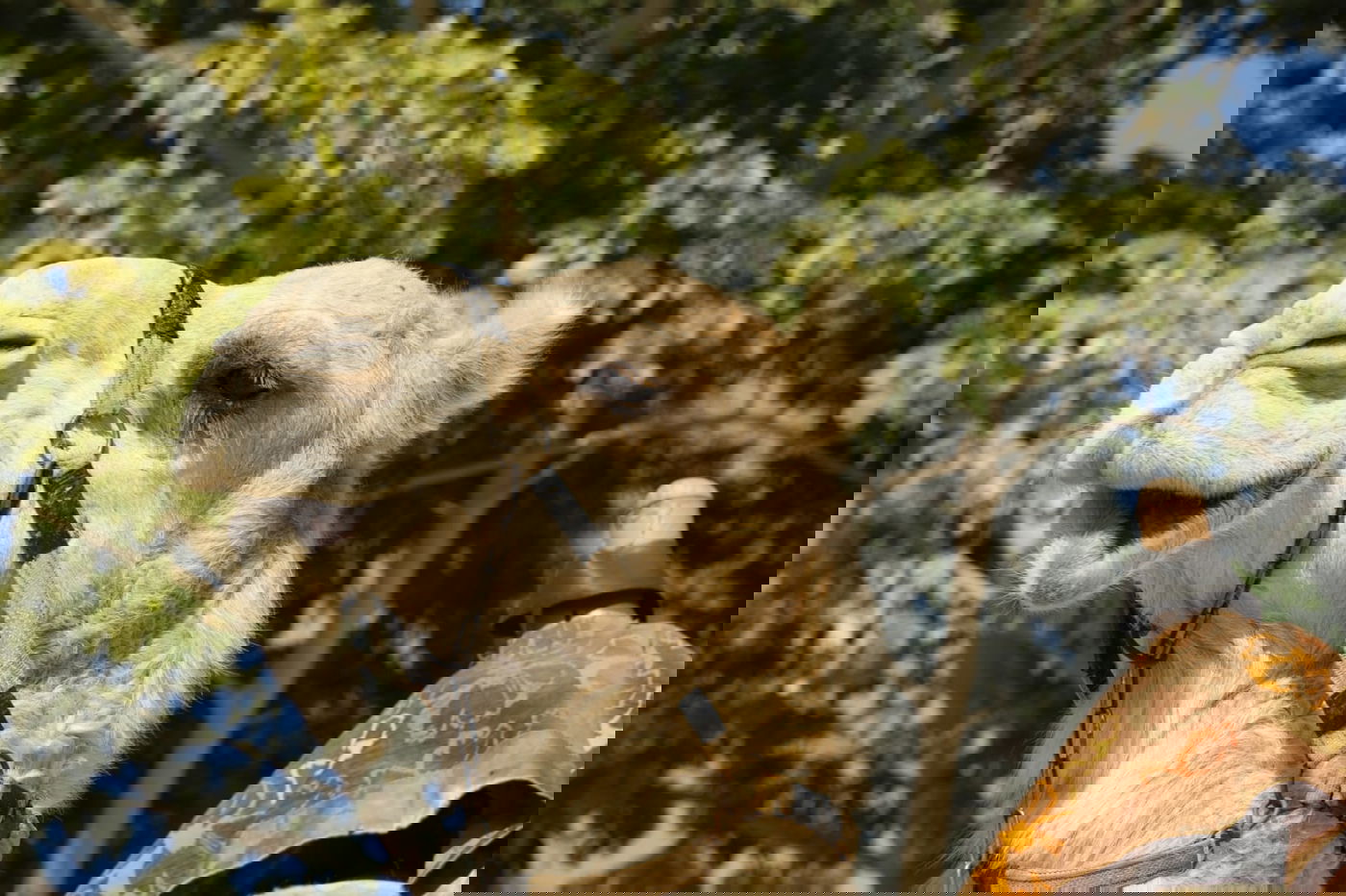 תיעוד צבעוני: רגע לפני סגירת ה'איים הירוקים'