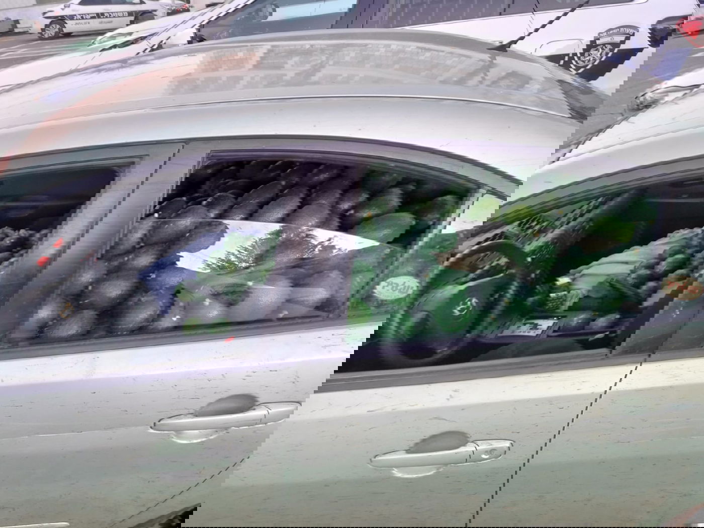 גנב 680 ק"ג של אבוקדו ברכב פרטי ונתפס