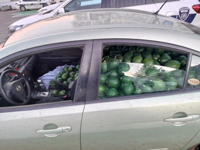 גנב 680 ק"ג של אבוקדו ברכב פרטי ונתפס