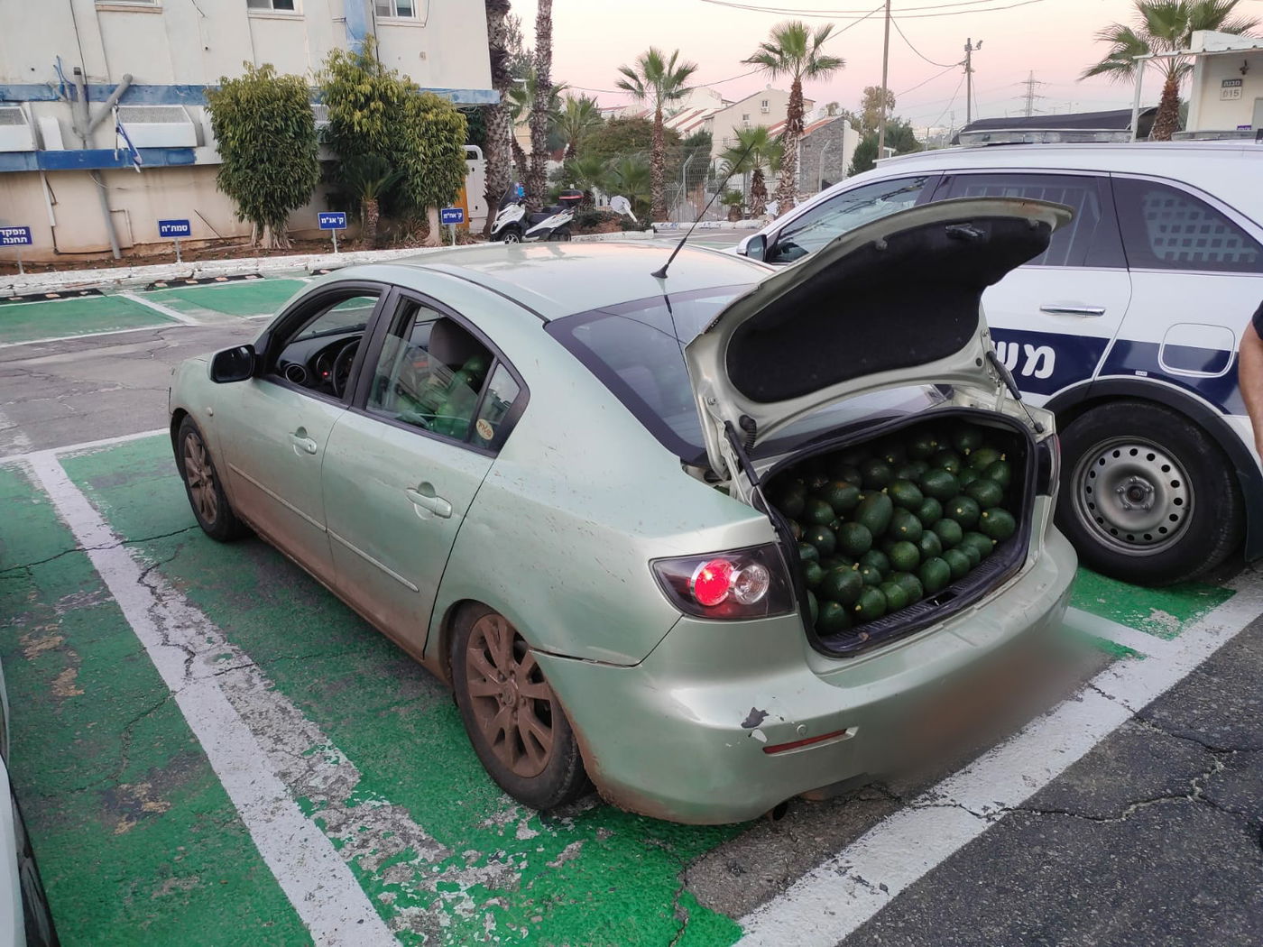 גנב 680 ק"ג של אבוקדו ברכב פרטי ונתפס