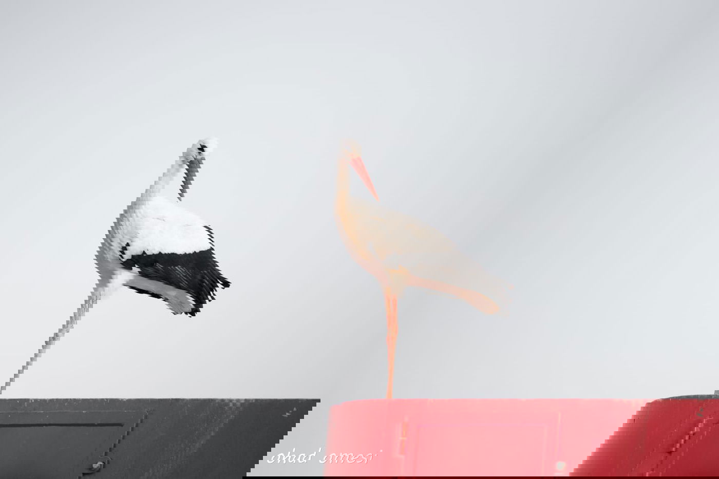 סיור מצולם מרהיב בנופי בקעת הירדן. תיעוד