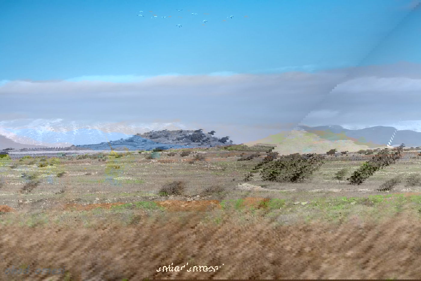 החרמון הסורי מושלג - החרמון הישראלי יבש