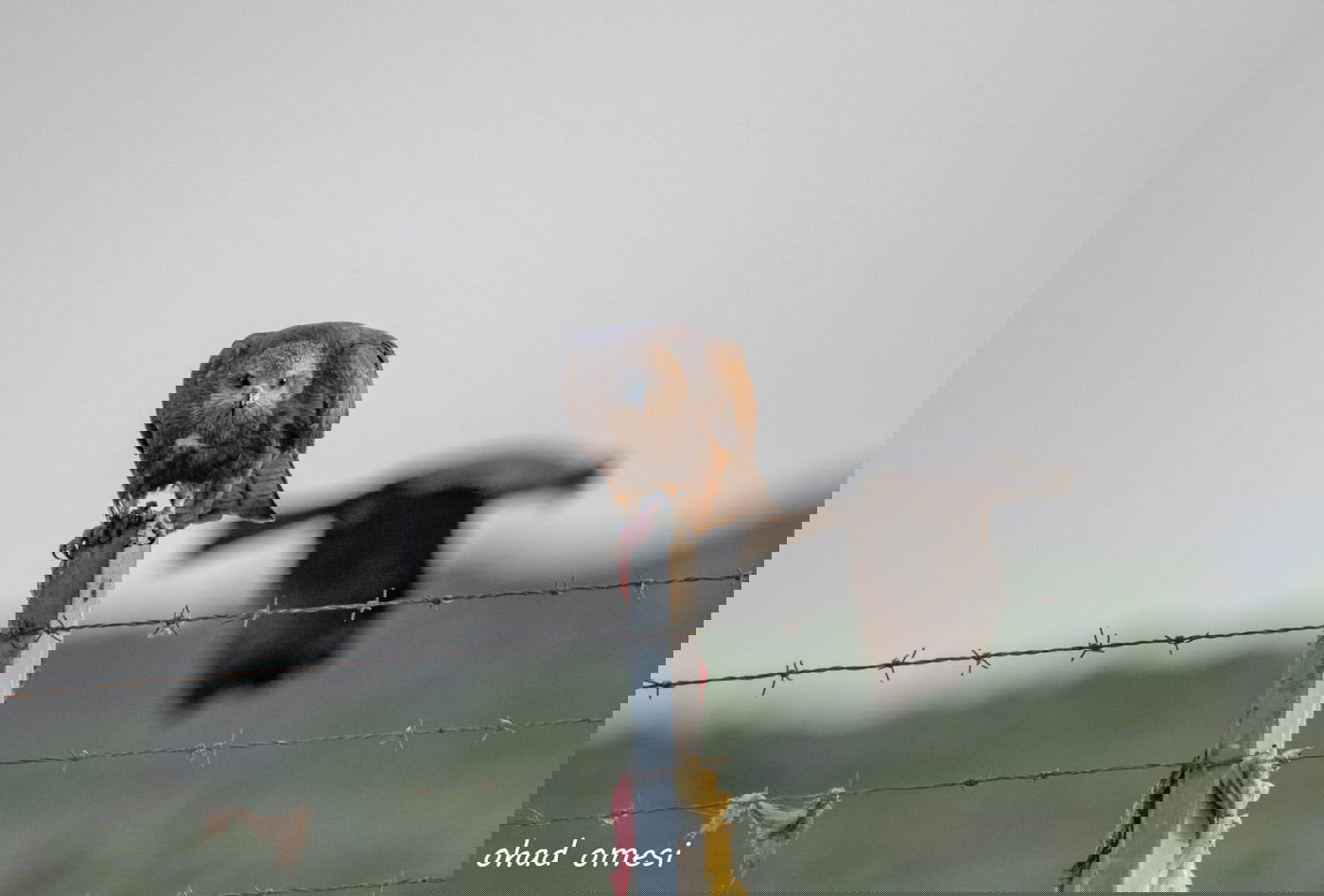 סיור מצולם מרהיב בנופי בקעת הירדן. תיעוד