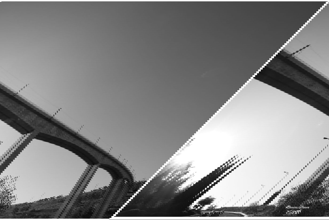 גלריית שלכת צבעונית במיוחד מהרי ירושלים