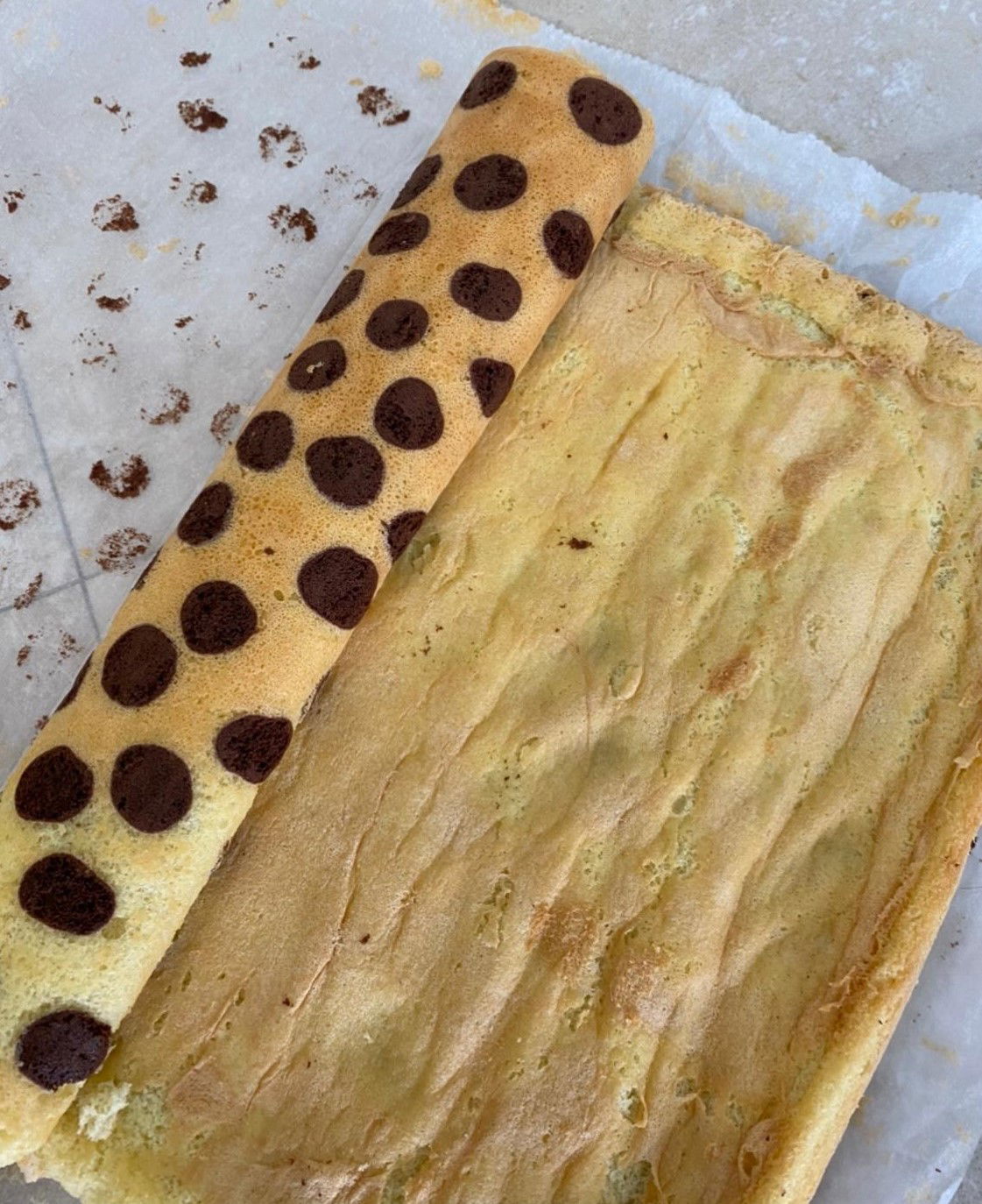 מתכון לרולדה דלמטית יפהפייה עם נקודות שוקולד ומילוי וניל עשיר