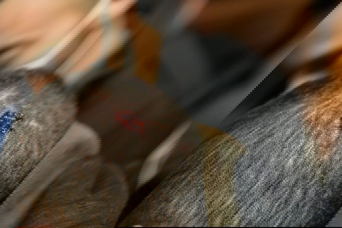 המחאה הסוערת של הימין; 20 מפגינים נעצרו