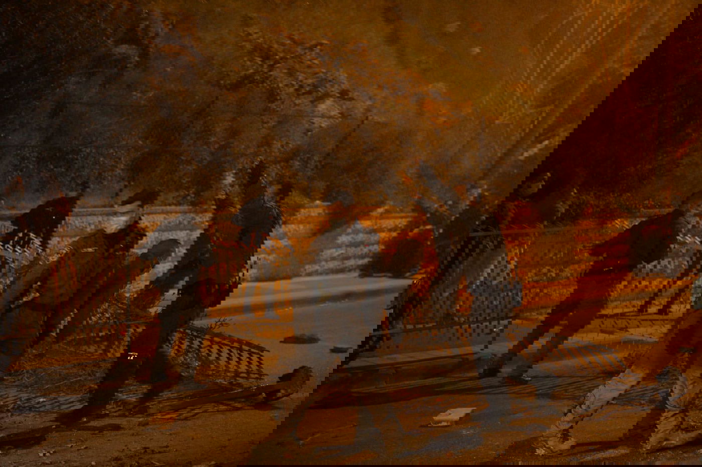 המחאה הסוערת של הימין; 20 מפגינים נעצרו