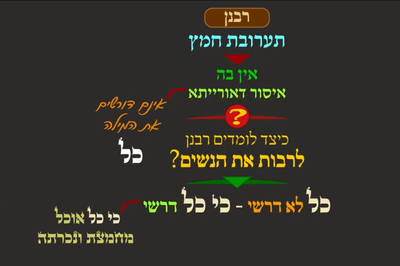 מסכת פסחים, דף מ"ג • סיכום והמחשה של הדף היומי