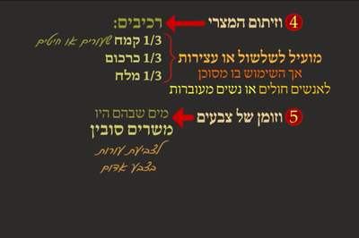 מסכת פסחים, דף מ"ב • סיכום והמחשה של הדף היומי