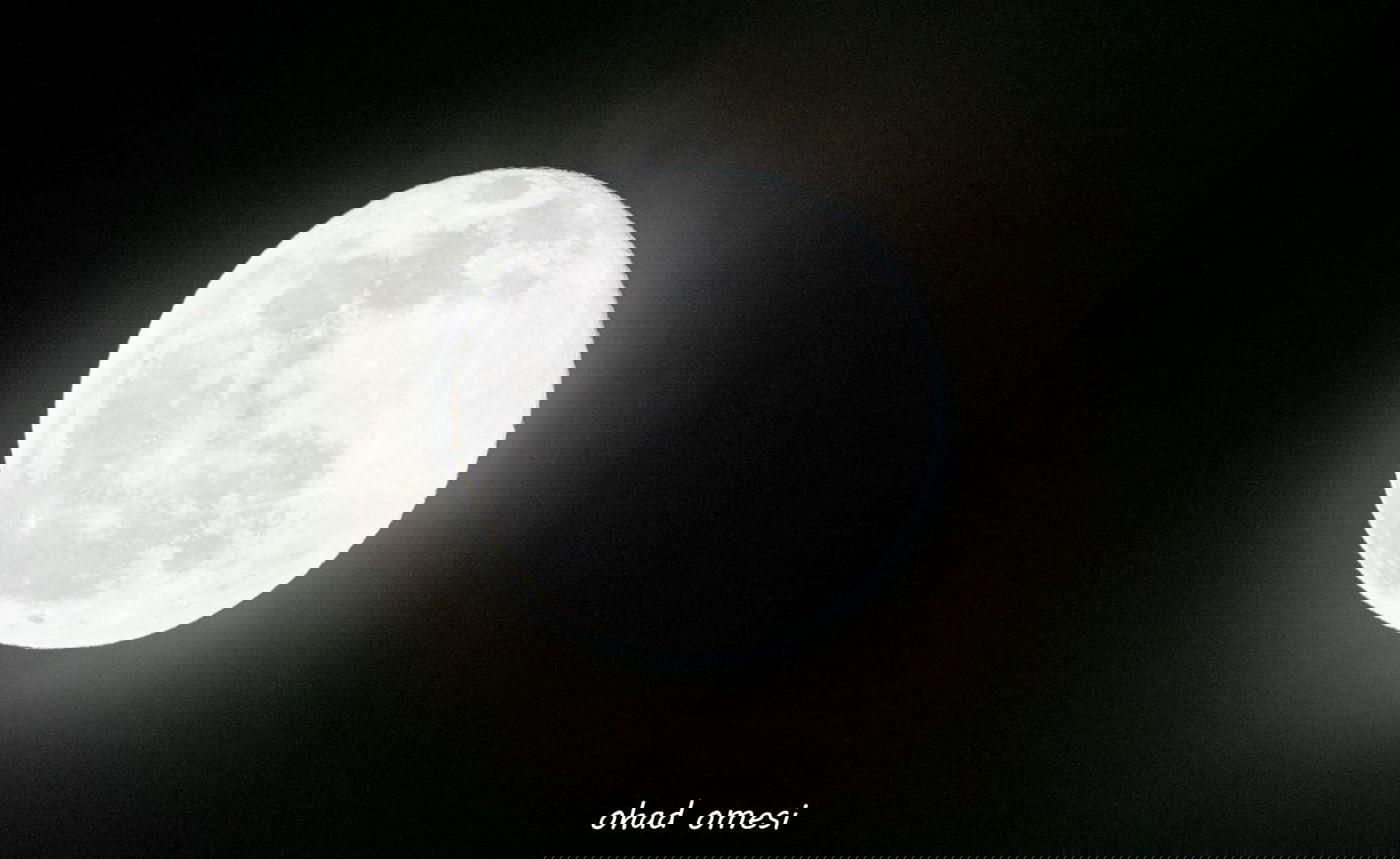 השועל מטייל בנחל; הסוסים - בכרמים. צפו