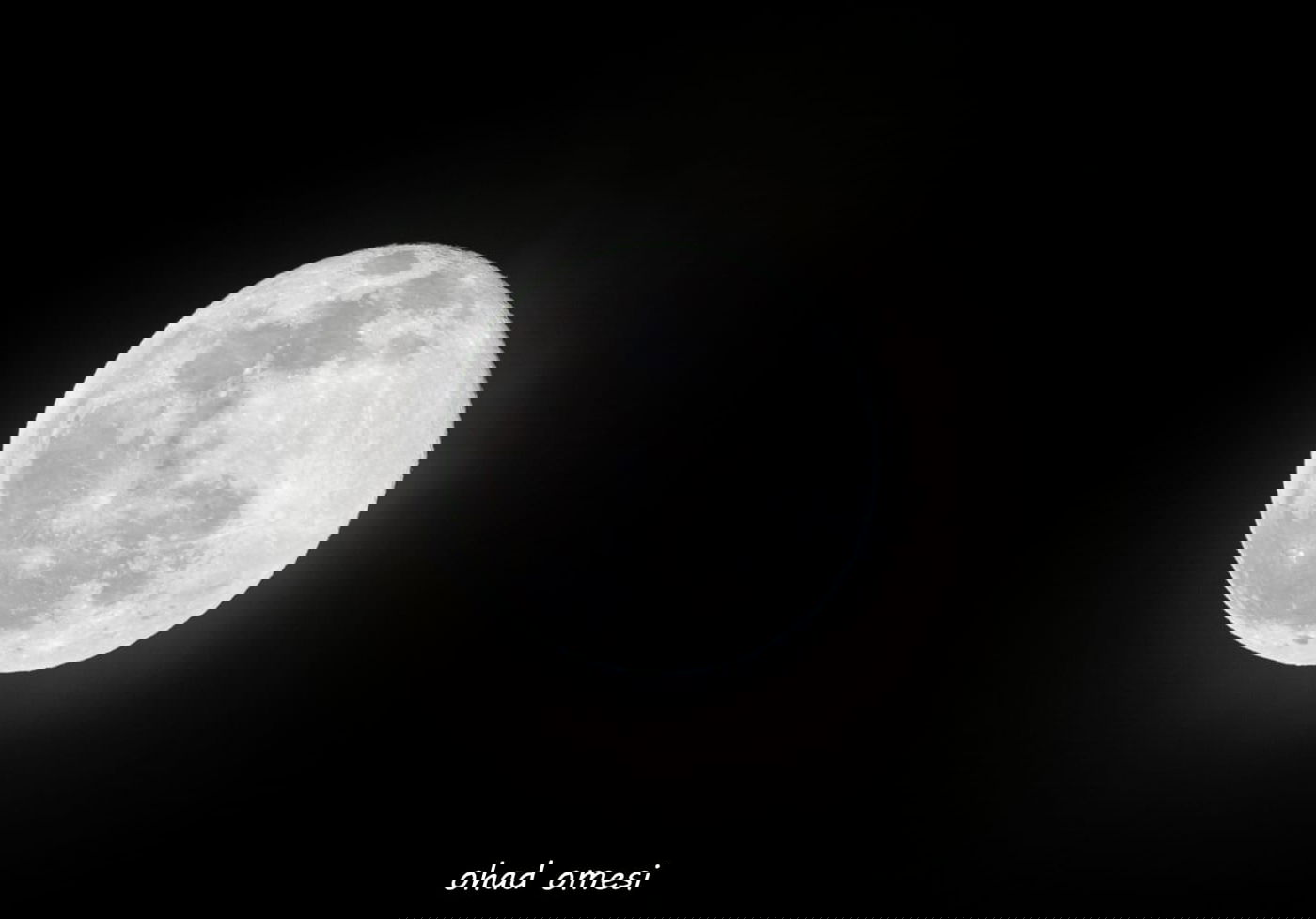 השועל מטייל בנחל; הסוסים - בכרמים. צפו