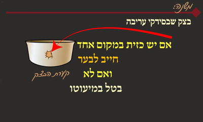 מסכת פסחים, דף מ"ה • סיכום והמחשה של הדף היומי