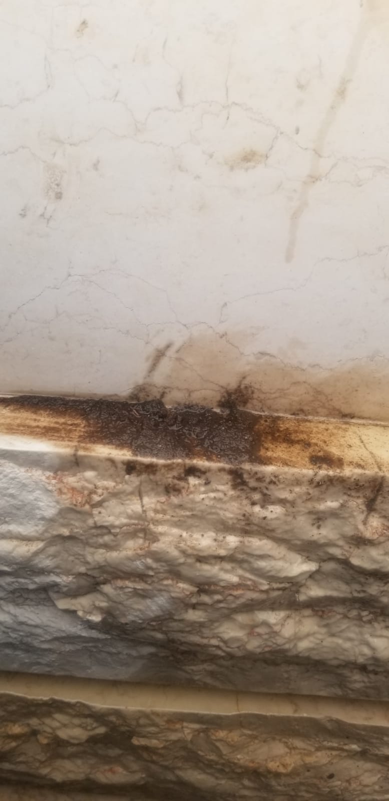 זעזוע בסאדיגורה: ניפצו את 'נר התמיד' בציון