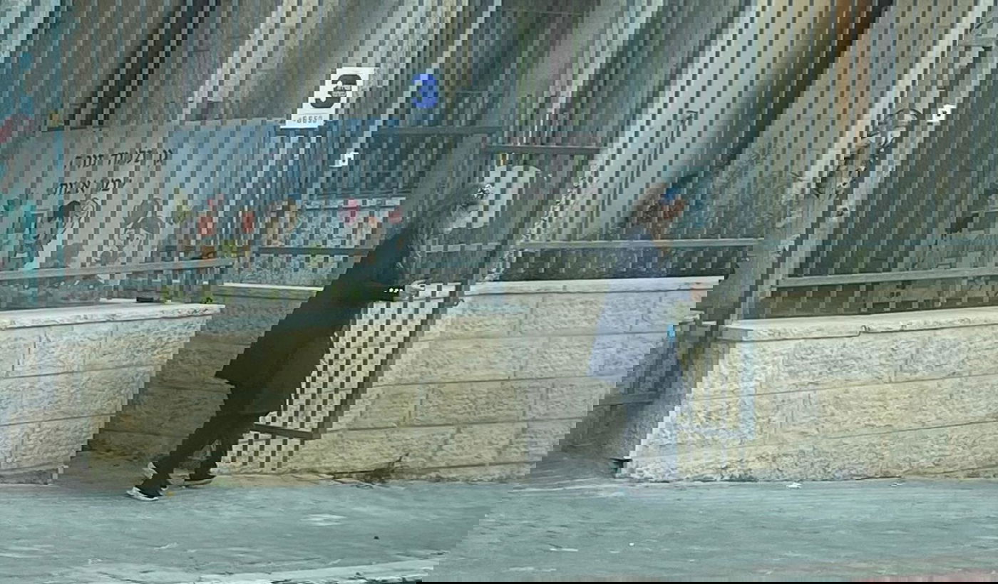 זופניק בכיכר • כל התמונות והנייעס של השבוע