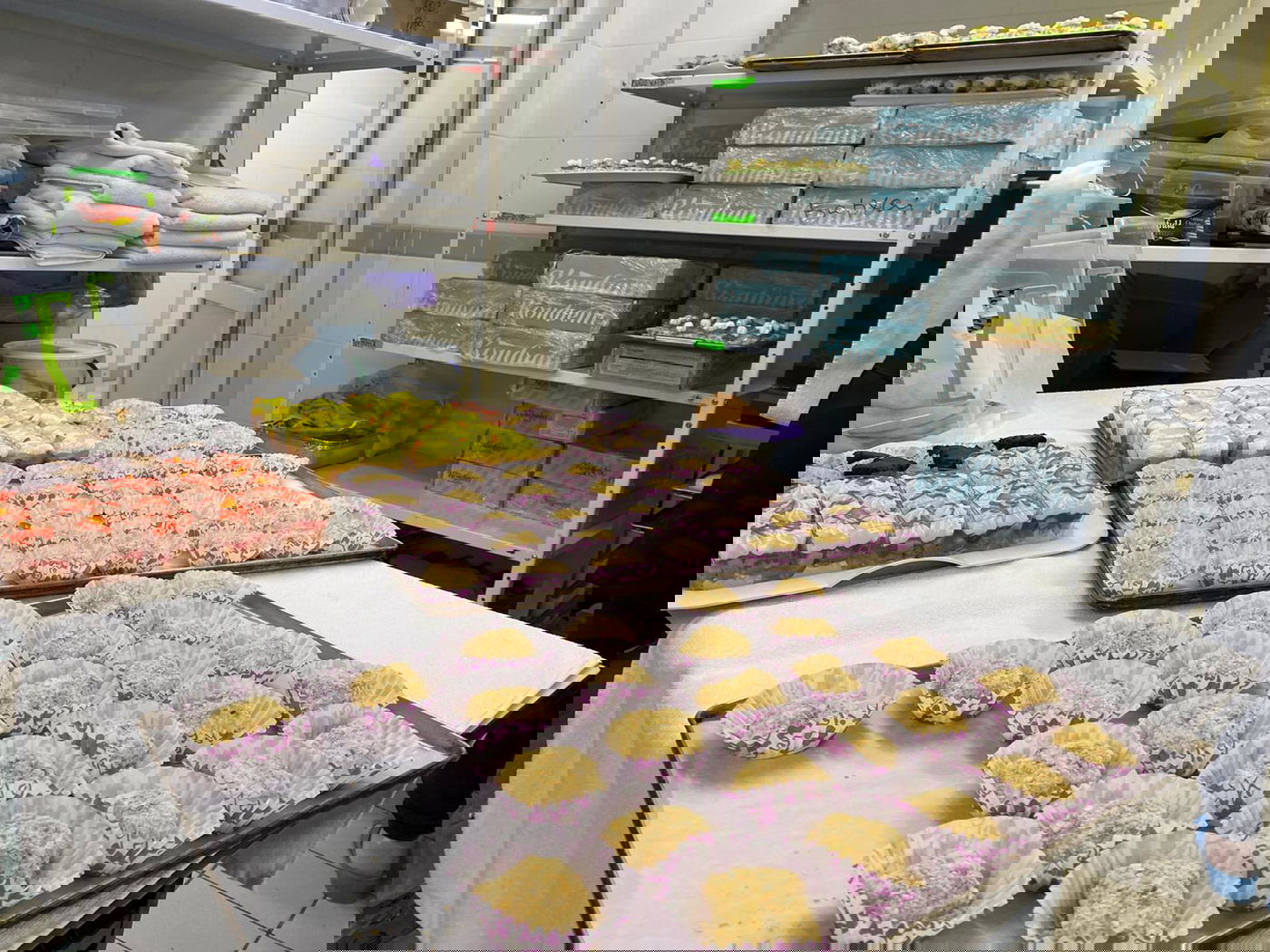 עם מדחום בכניסה: מאות בהילולת בעל התניא