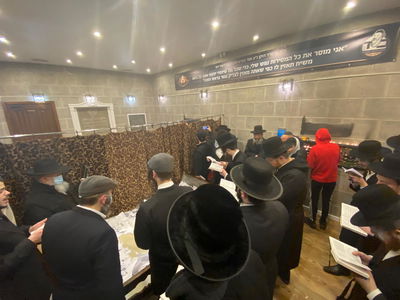 בהילולה של בעל התניא