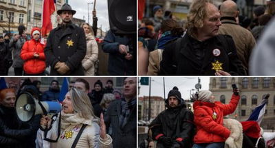 המפגינים והטלאים