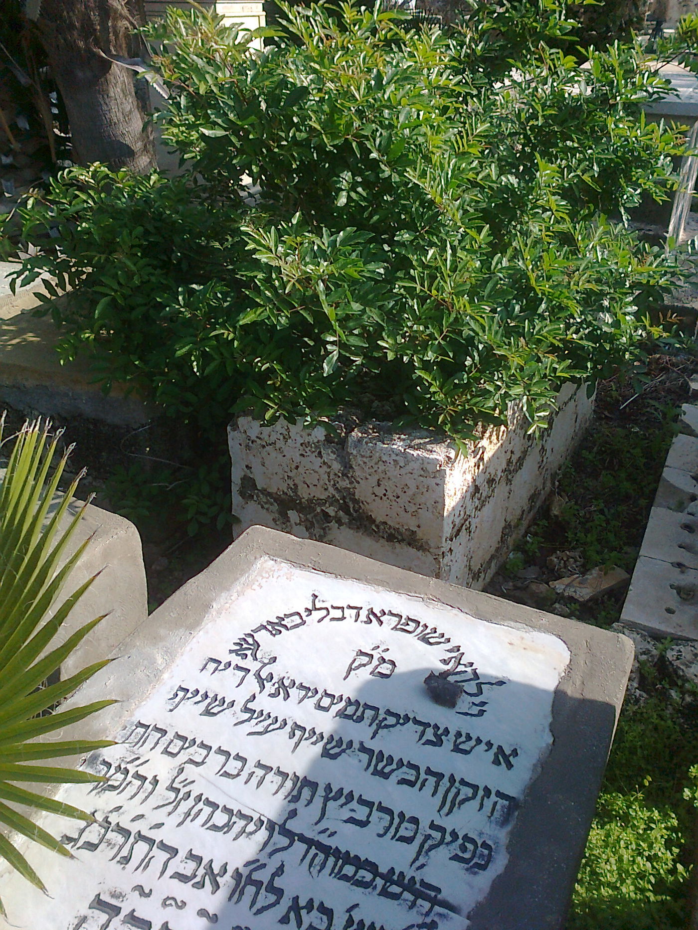 זה קורה בישראל: כך נראה בית קברות יהודי