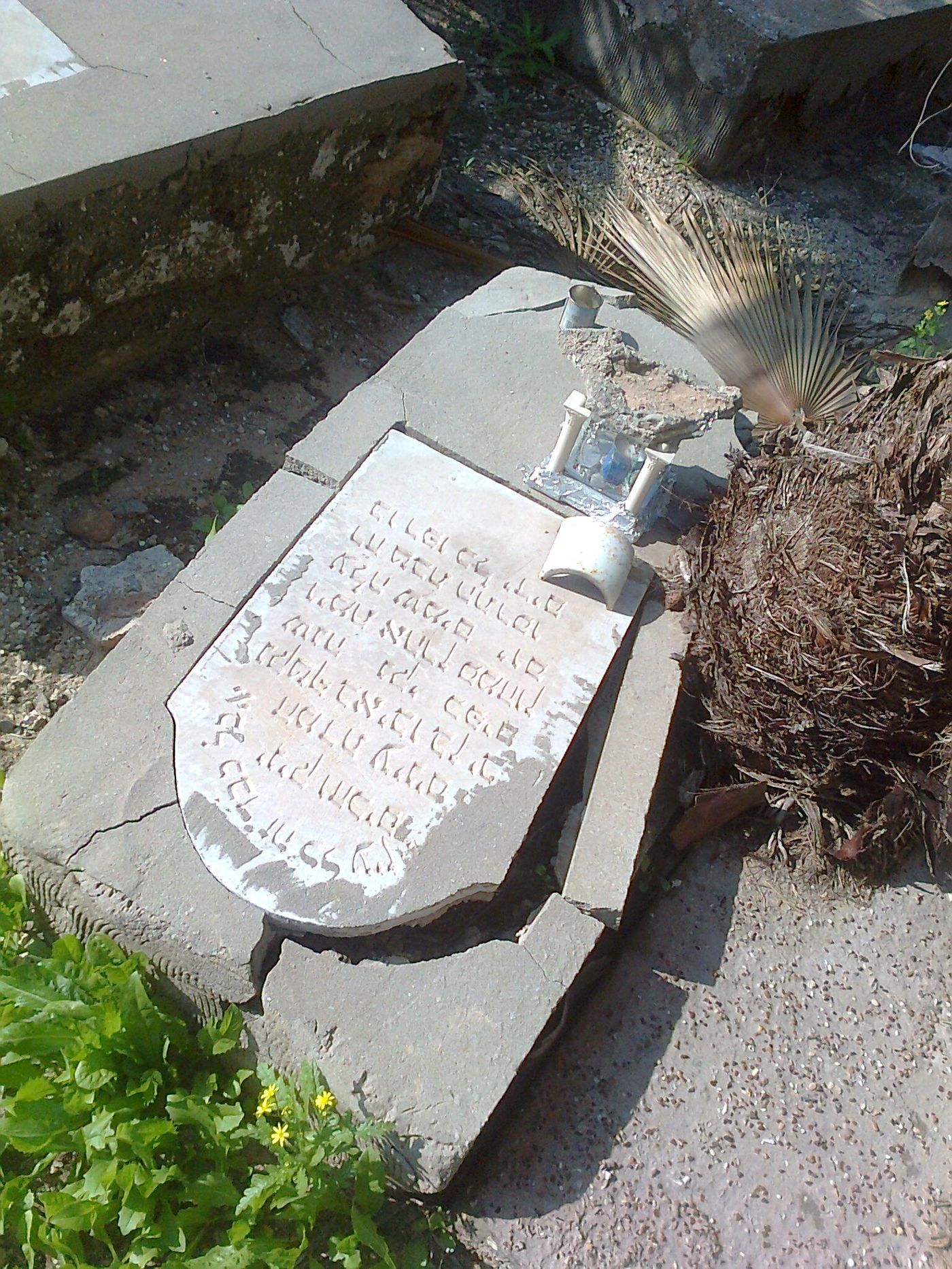 זה קורה בישראל: כך נראה בית קברות יהודי