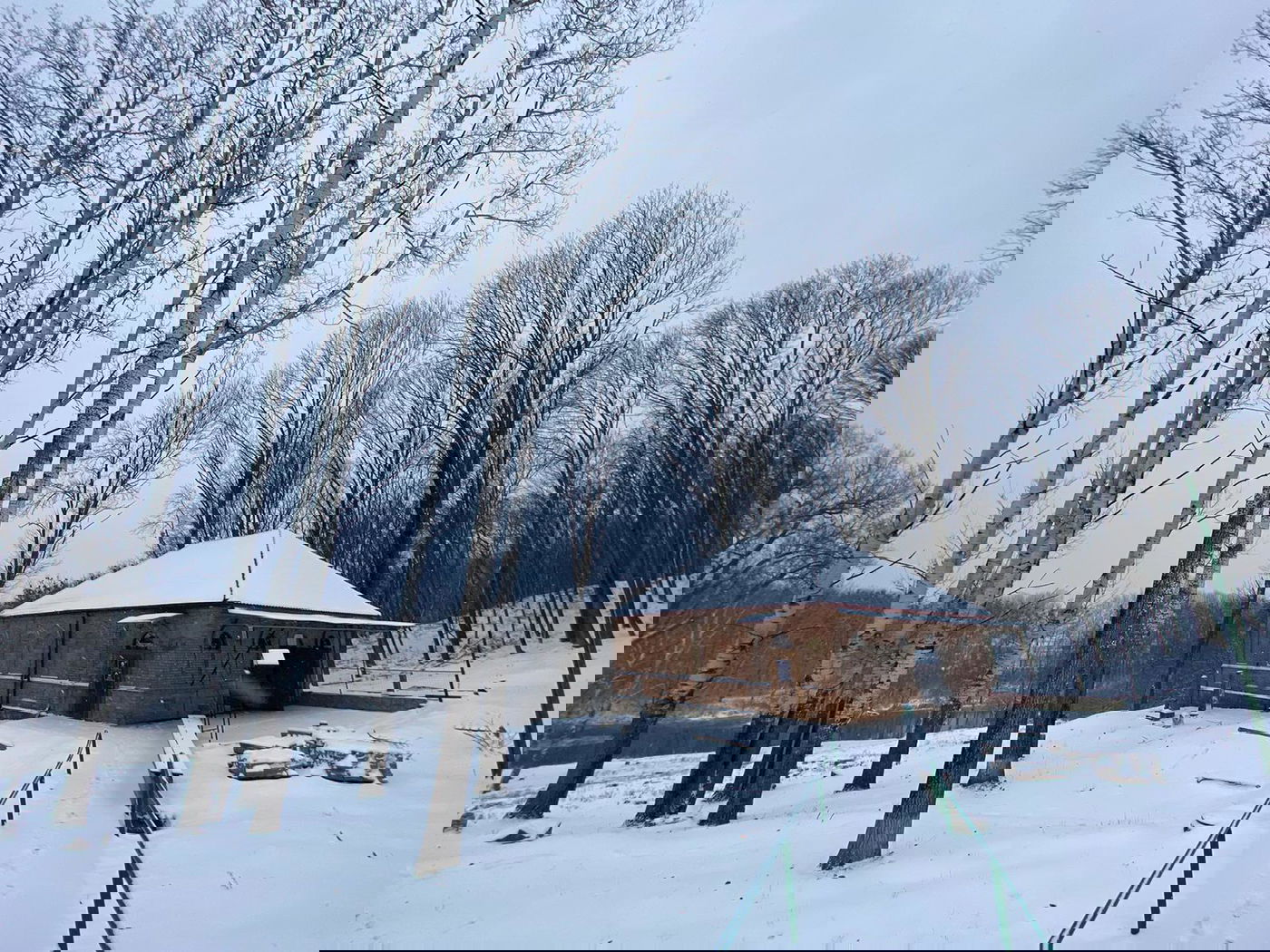 שבוע מהיארצייט: ציון האדמו"ר הזקן מושלג