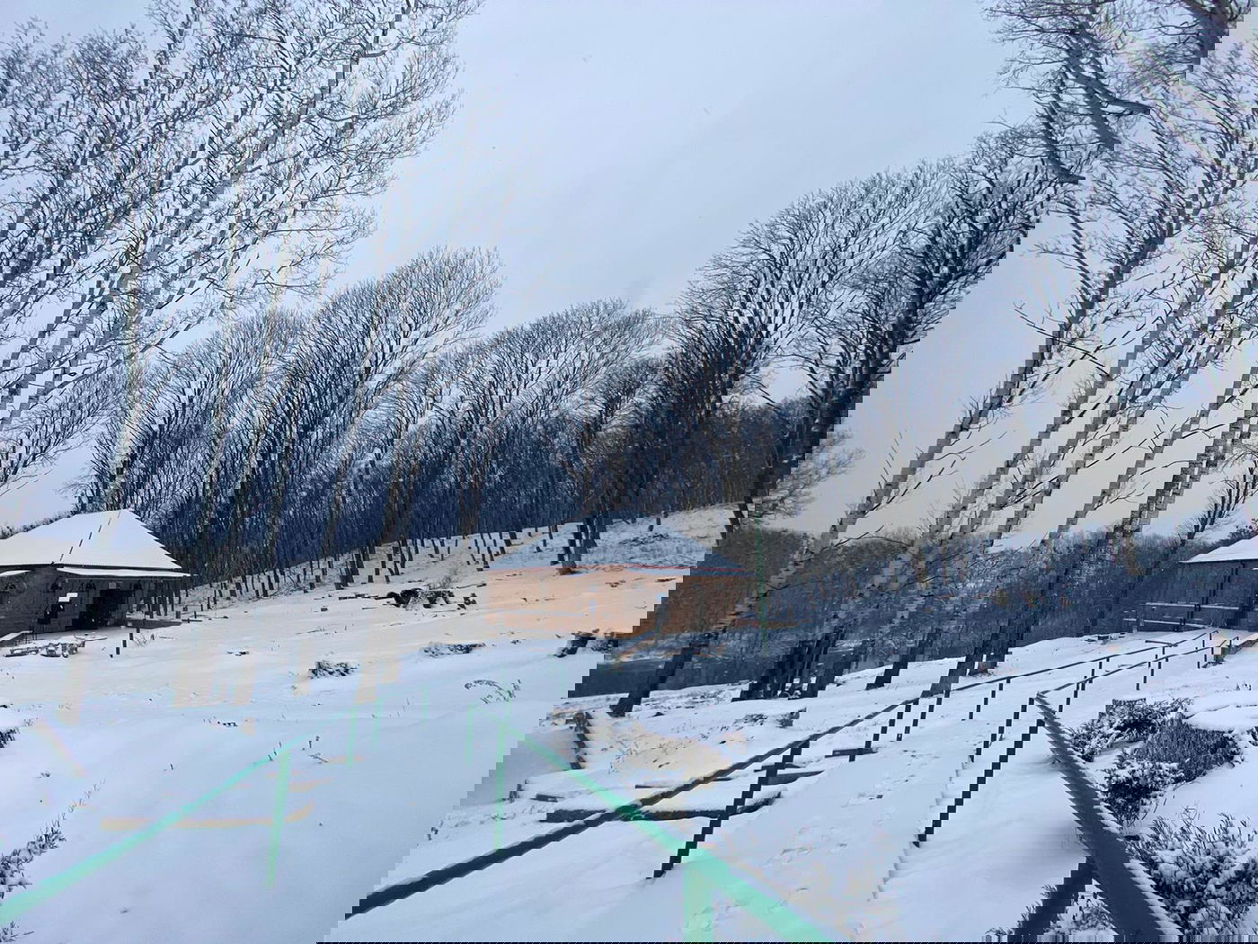 שבוע מהיארצייט: ציון האדמו"ר הזקן מושלג