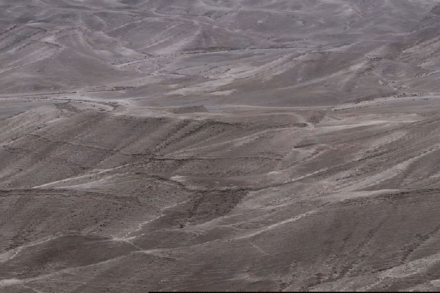 לפני הגשמים • תיעוד מיוחד מצפון ים המלח