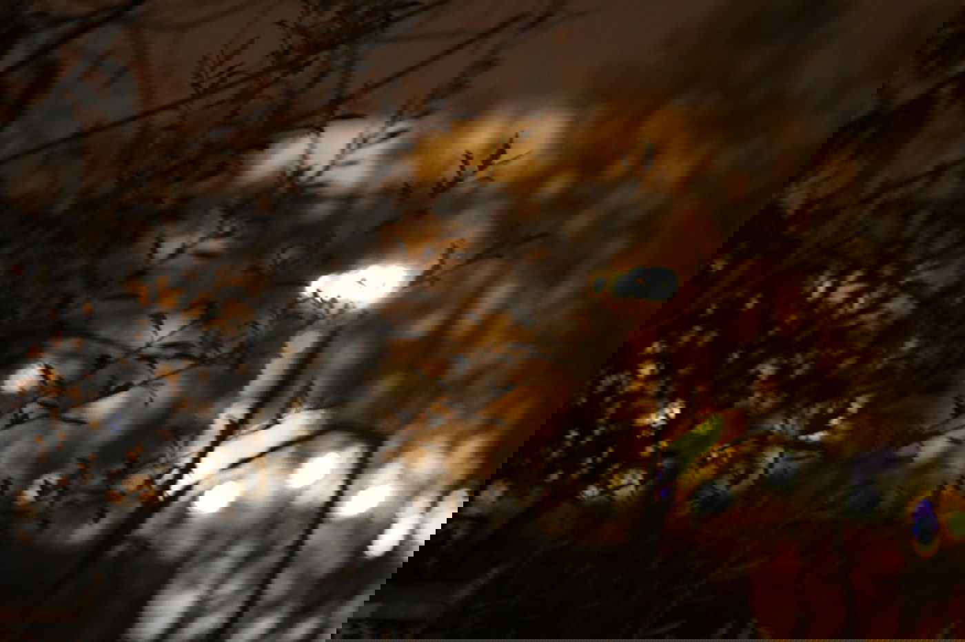 לפני הגשמים • תיעוד מיוחד מצפון ים המלח