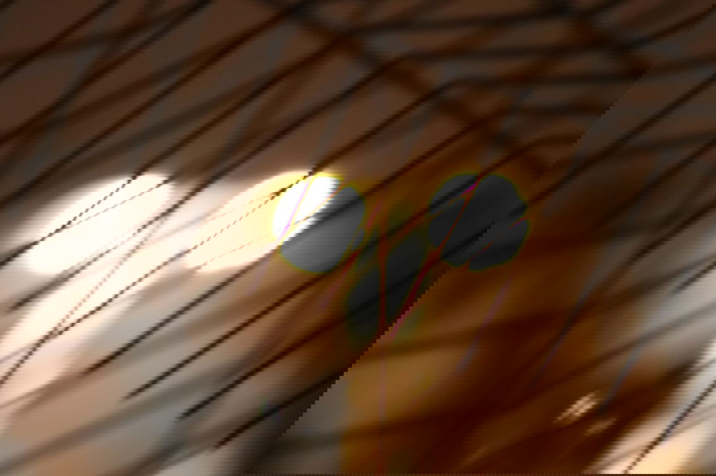 לפני הגשמים • תיעוד מיוחד מצפון ים המלח