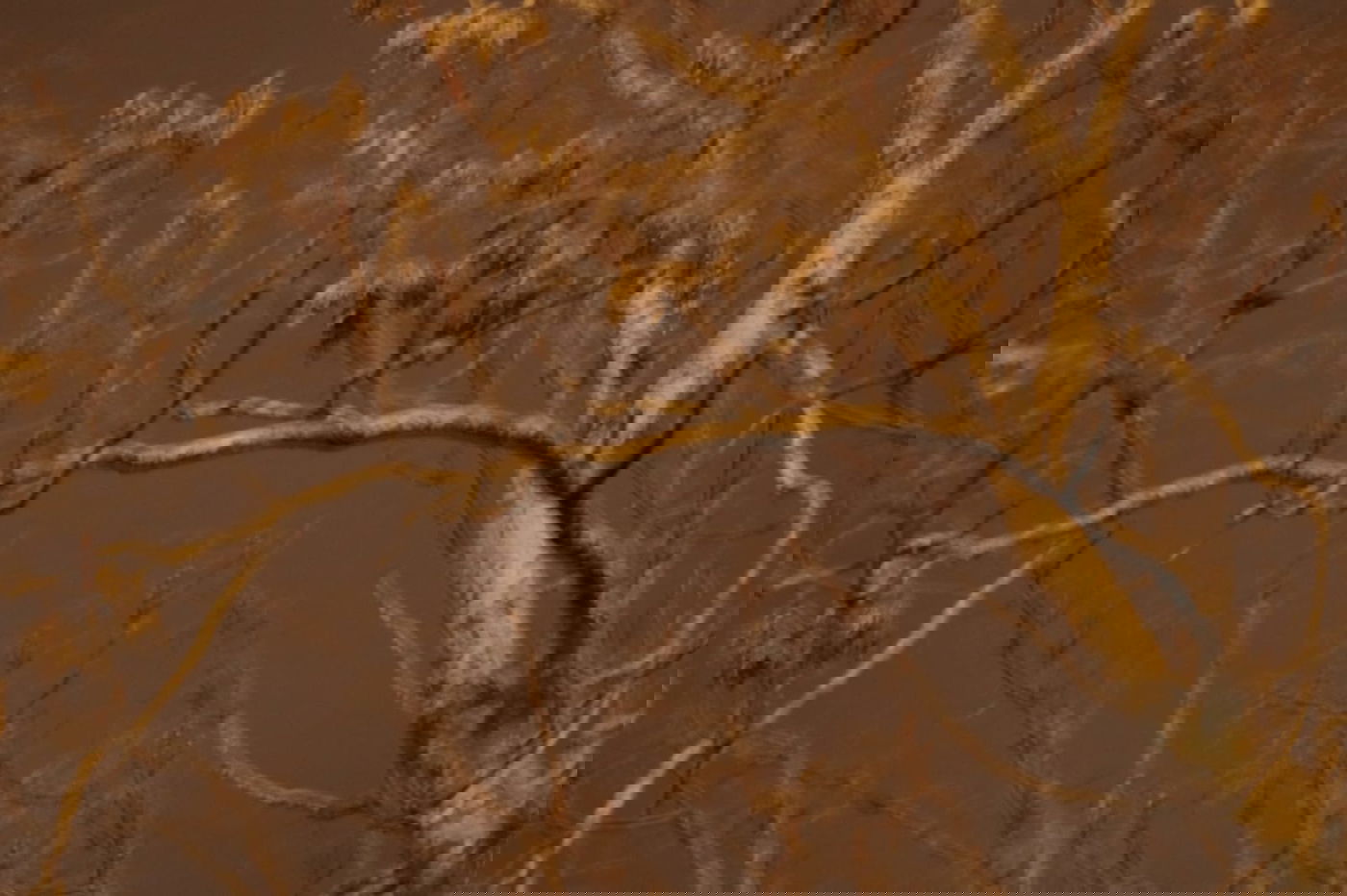 לפני הגשמים • תיעוד מיוחד מצפון ים המלח