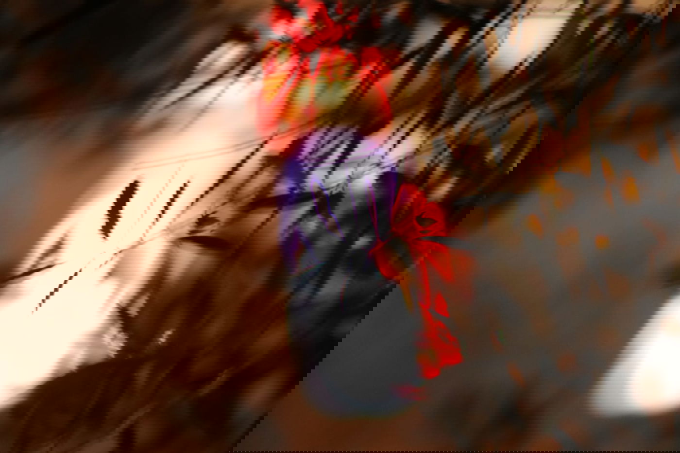 לפני הגשמים • תיעוד מיוחד מצפון ים המלח